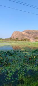 Image of 5989 Sq.ft Residential Plot / Land for sale in Harohalli, Ramnagara, Bengaluru for Rs. 7181411
