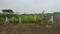 Saravanampatty Main Image 1
