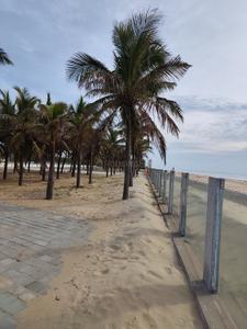 Image of 1362 Sq.ft Residential Plot / Land for sale in Chidambaram, Cuddalore for Rs. 3800000