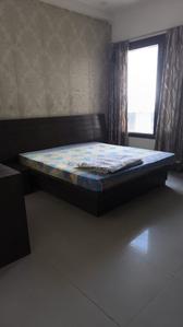 Bedroom Image of Somo pg for girls  in Sector 19, Noida