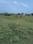 Ranipet Town Plot View 2