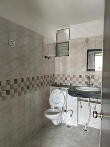 Common Bathroom Image of 1285 Sq.ft 3 BHK Apartment / Flat for rent in Amrapali Pan Oasis, Sector 70 Noida for Rs. 35000