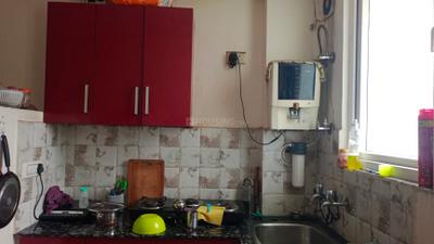 Kitchen Image of 700 Sq.ft 1 BHK Builder Floor for rent in Sector 14 Gurgaon for Rs. 24000