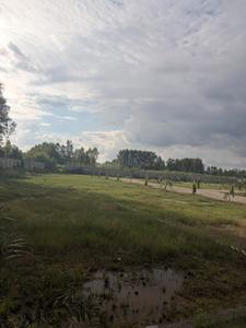 Image of 1200 Sq.ft Residential Plot / Land for sale in Ballupur, Dehradun for Rs. 2000000