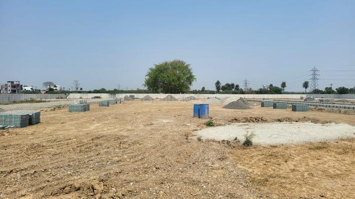 Urban Tree Pearl County Main Image 1