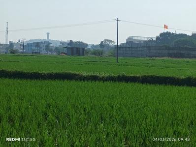 Agricultural Land