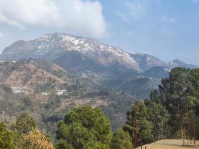 Image of 1350 Sq.ft 3 BHK Apartment / Flat for sale in Bajoral Khurd, Solan for Rs. 8200000