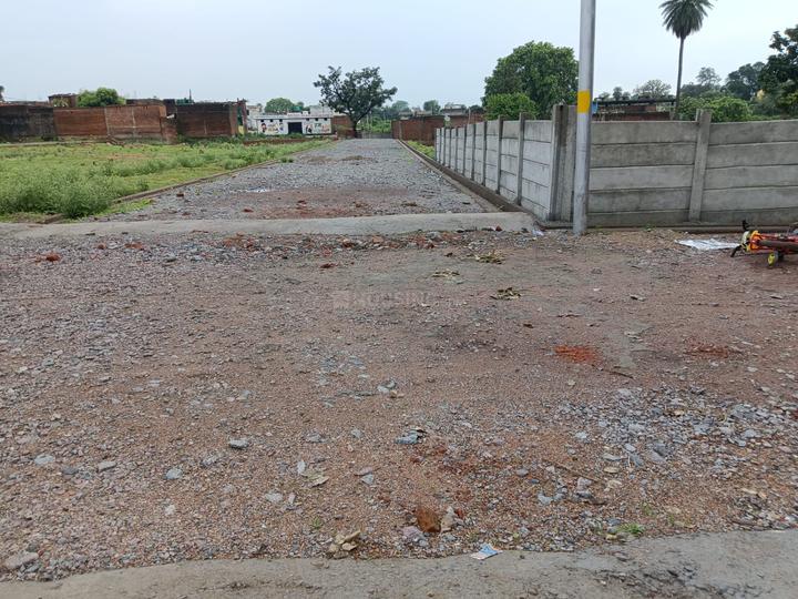 Krishna Nagar Colony, Nagra Main Image 1