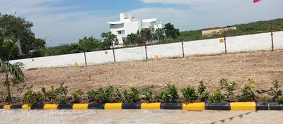 Srinivasa foundation Plot View 1
