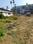 Nalanipam Main Image 1