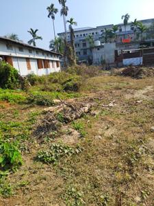 Nalanipam Plot View 1