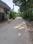 Natures Paradise Internal Roads 2