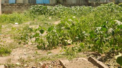 Image of 2400 Sq.ft Residential Plot / Land for sale in Jayanagar, Bengaluru for Rs. 105000000