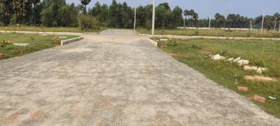 Bhogapuram Plot View 1