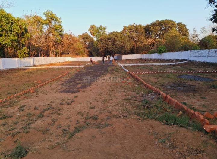 Royal society Main Image 1