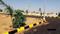 AKSHARA DEVOLOPERS Plot View 2