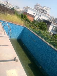 Swimming Pool Image of 4639 Sq.ft 5 BHK Villa for sale in GM REDDY, Sikanderguda Hyderabad for Rs. 83502000