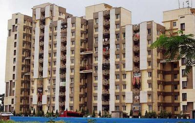 3 BHK Flat