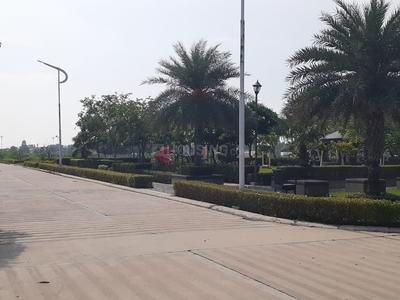Residential Plot