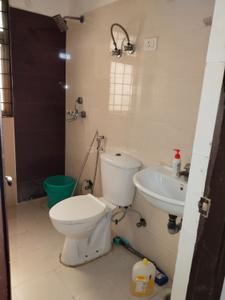 Image of 1050 Sq.ft 2.5 BHK Apartment / Flat for rent in Amrapali Castle, Chi V, Greater Noida for Rs. 26000