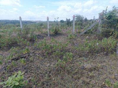Image of 1200 Sq.ft Residential Plot / Land for sale in Lohegaon, Pune for Rs. 3600000