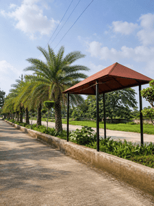 Image of 1250 Sq.ft Residential Plot / Land for sale in Torwa, Bilaspur for Rs. 1718750
