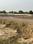 Khodna Khurd, Noida Extension Main Image 1