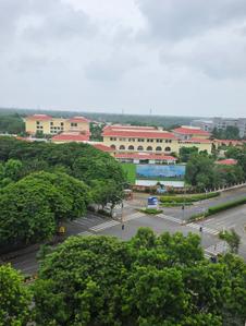Image of 3220 Sq.ft 4 BHK Apartment / Flat for sale in Adani Water Lily, Shantigram, Ahmedabad for Rs. 28000000