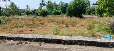Ollur Plot View 1