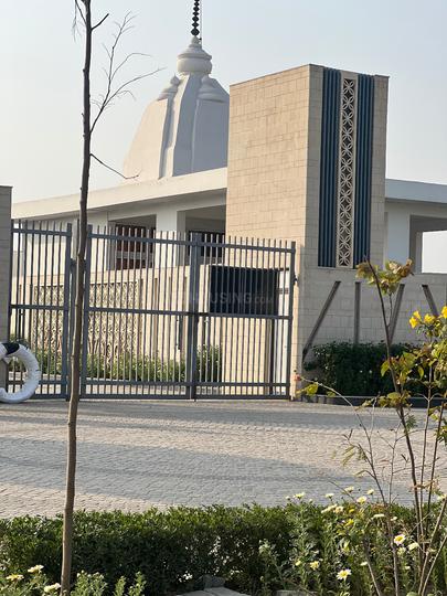 Amolik Aster Woods Main Image 1