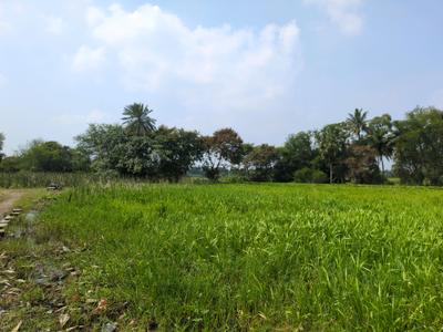 Image of 720 Sq.ft Residential Plot / Land for sale in Natures Paradise, Joka, Kolkata for Rs. 169998