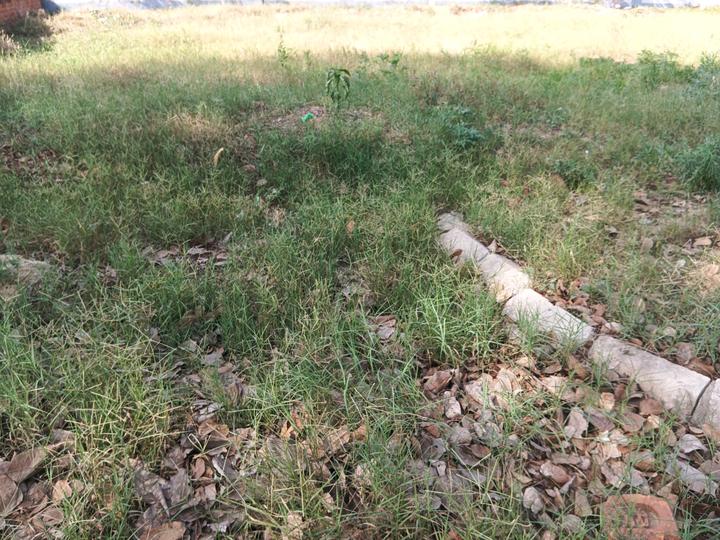 Experion The Westerlies Plots Main Image 1