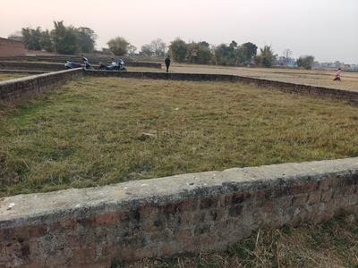 Boreya Plot View 1