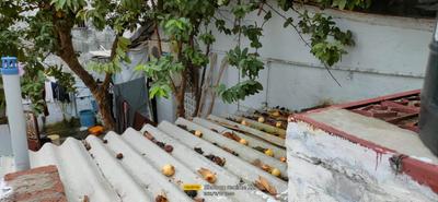 Balcony Image of 1245 Sq.ft 1 BHK Independent House for sale in Krishna Lanka Vijayawada for Rs. 15400000
