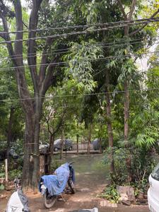 Image of 800 Sq.ft 2 BHK Apartment / Flat for rent in DDA Flat Janakpuri, Janakpuri, New Delhi for Rs. 32000