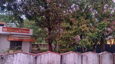 Image of 1018 Sq.ft 3 BHK Independent House for sale in Pattukalam, Alappuzha for Rs. 8500000