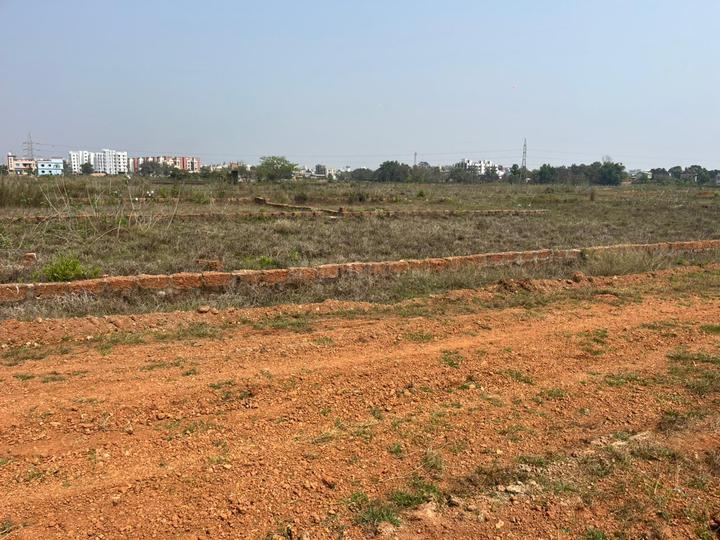 Patrapoda Main Image 1