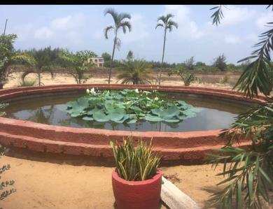Residential Plot