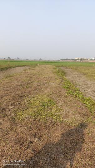 Beldarichak Main Image 1