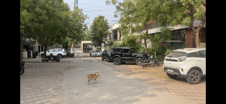 Meghani Nagar Main Image 1