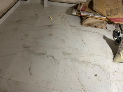 Bathroom Image of 500 Sq.ft 2 BHK Builder Floor for sale in Tri Nagar New Delhi for Rs. 3800000