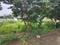 Manishbag colony Main Image 1