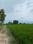 Sarde Main Image 1