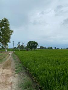 Image of 1089 Sq.ft Residential Plot / Land for sale in Sarde, Navi Mumbai for Rs. 420000