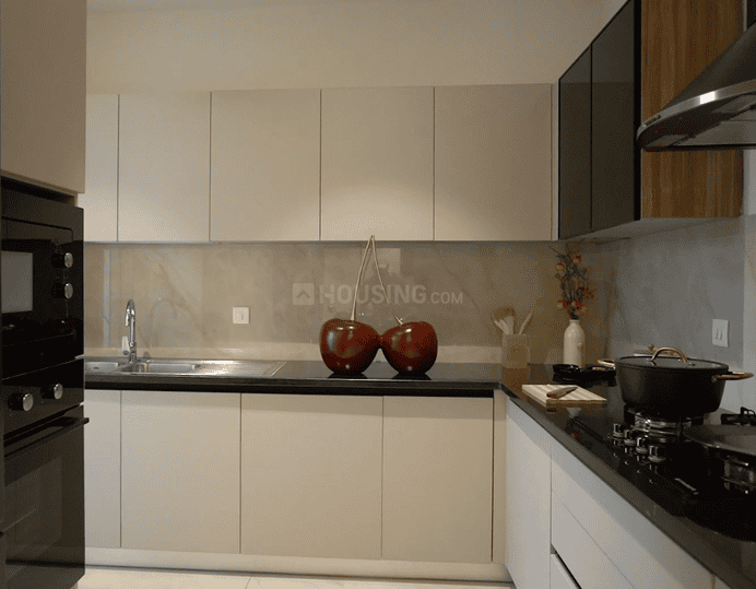 Orchid Ivy Main Image 1