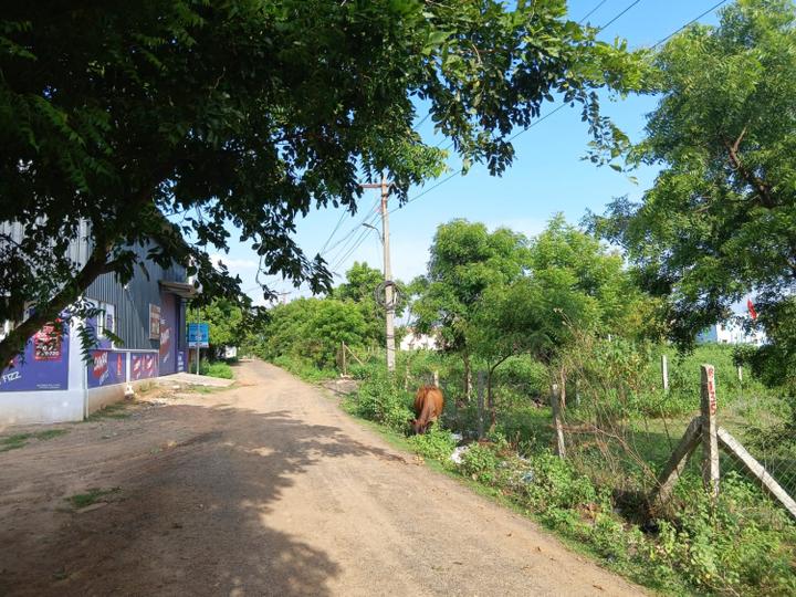 Padappai Main Image 1