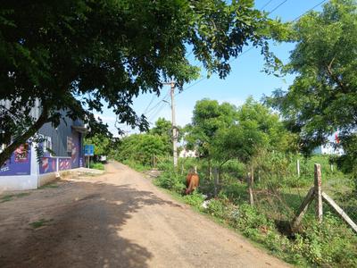 Padappai Plot View 1