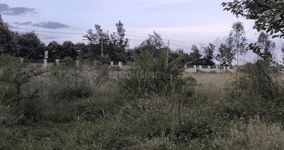 Residential Plot