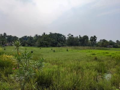 Image of 1440 Sq.ft Residential Plot / Land for sale in Nest Valley, Joka, Kolkata for Rs. 300500