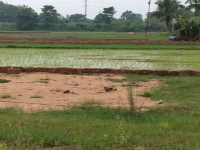 Image of 1000 Sq.ft Residential Plot / Land for sale in Benupur, Bhubaneswar for Rs. 2300000